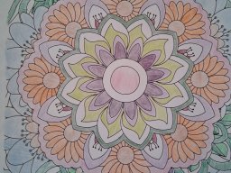 whatsapp image 2025-12-29 at 15.20.20